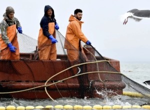 1 июня в Усть-Камчатском округе стартует путина