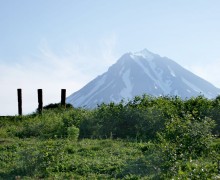 Камчатка на ладони 