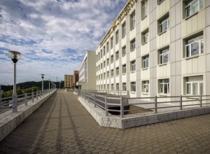 В Петропавловске назначили ответственных за чистоту